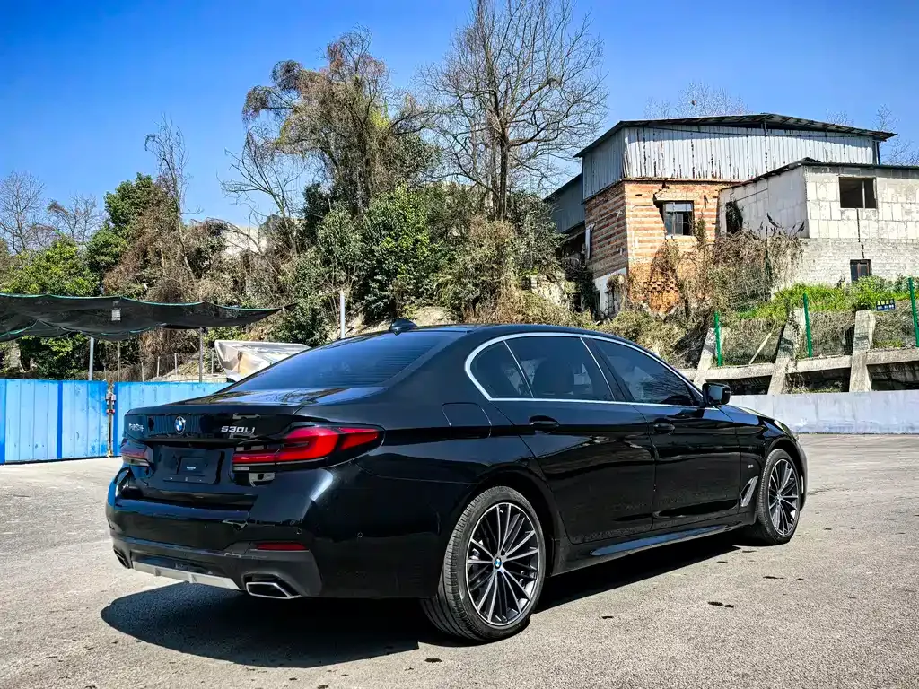 BMW 5 Series 2021 из CN, фото 10