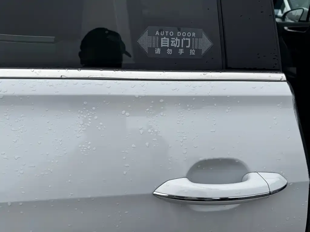 Volkswagen Viloran 2023 из CN, фото 2
