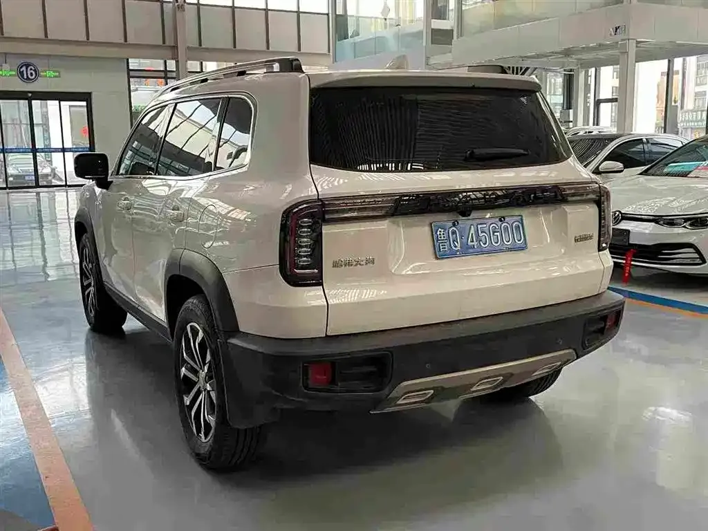 Haval Big Dog — фото 10