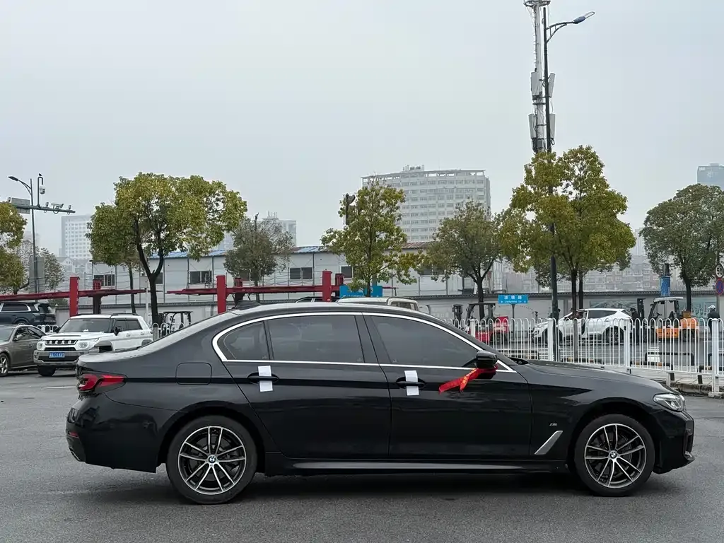 BMW 5 Series 2022 из CN, фото 3