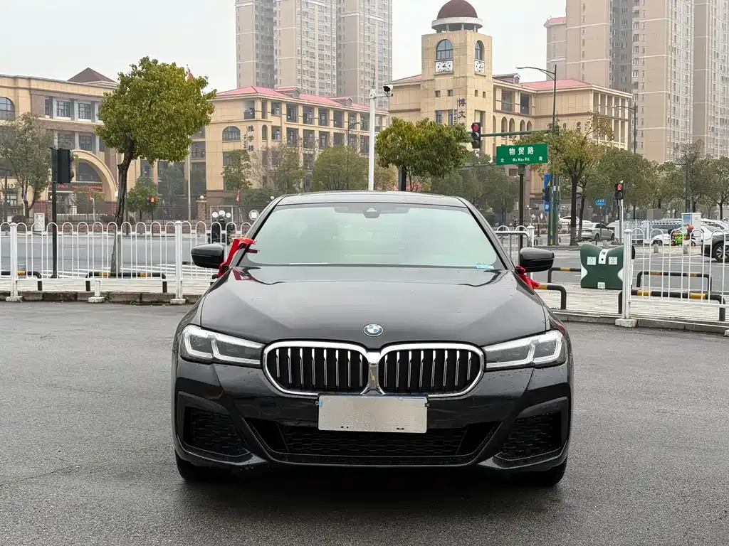 BMW 5 Series 2022 из CN, фото 4