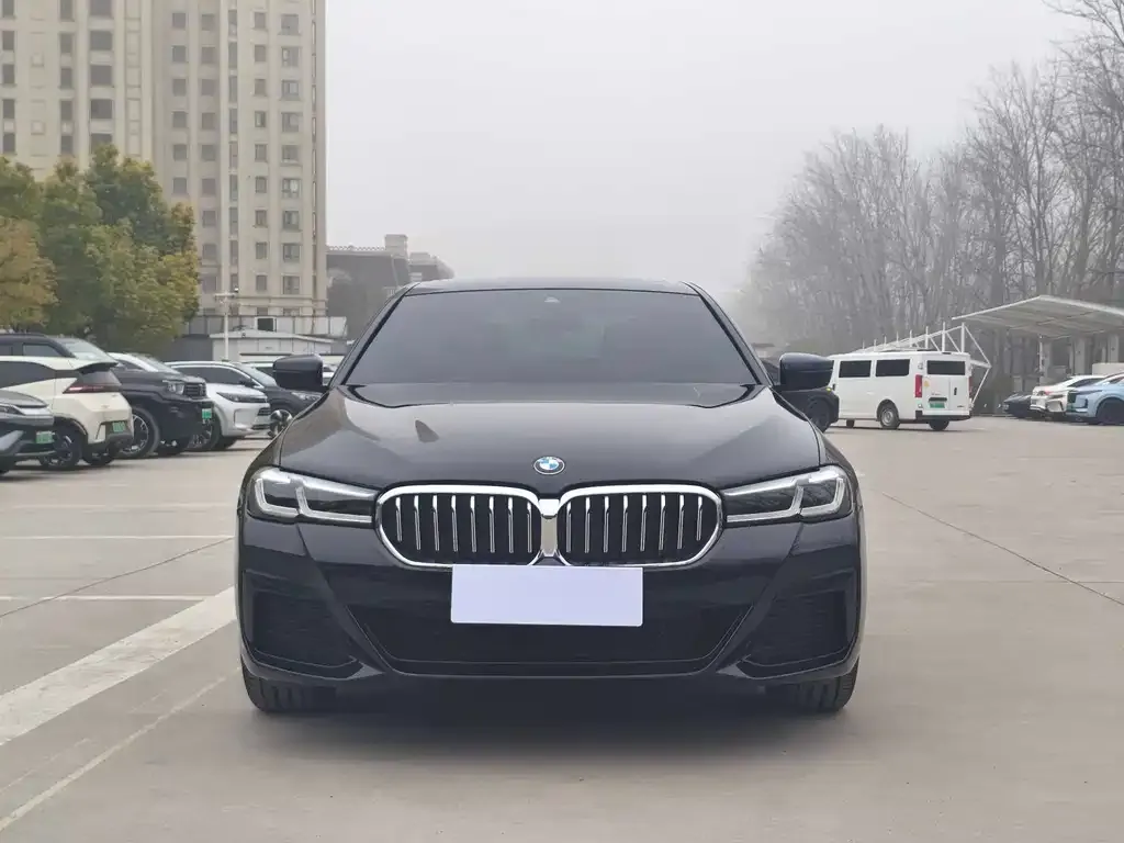 BMW 5 Series 2022 из CN, фото 4