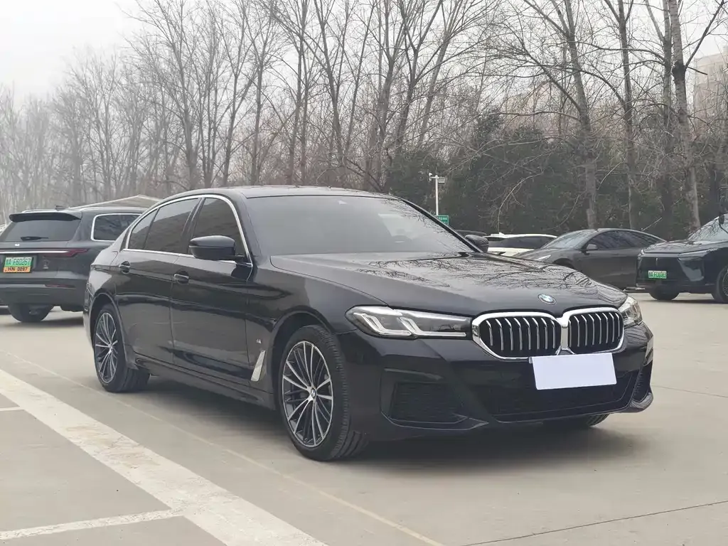 BMW 5 Series 2022 из CN, фото 10