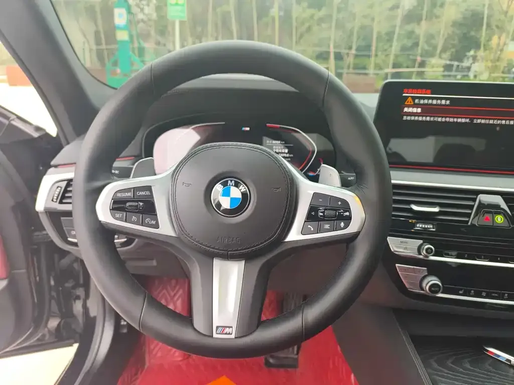 BMW 5 Series 2022 из CN, фото 6