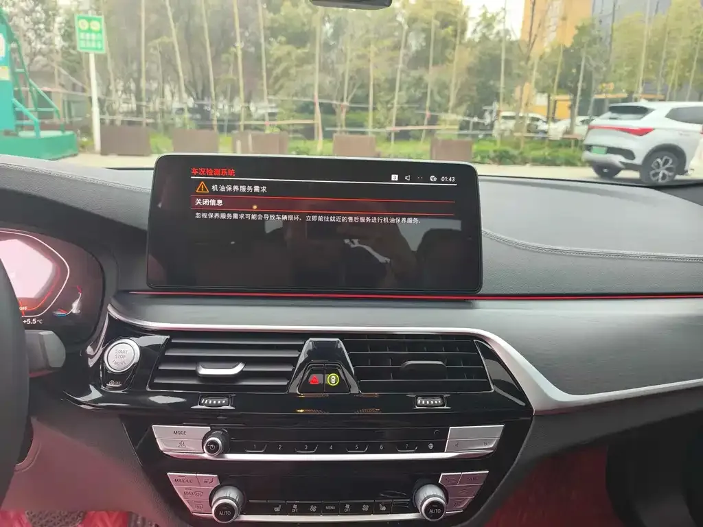 BMW 5 Series 2022 из CN, фото 5