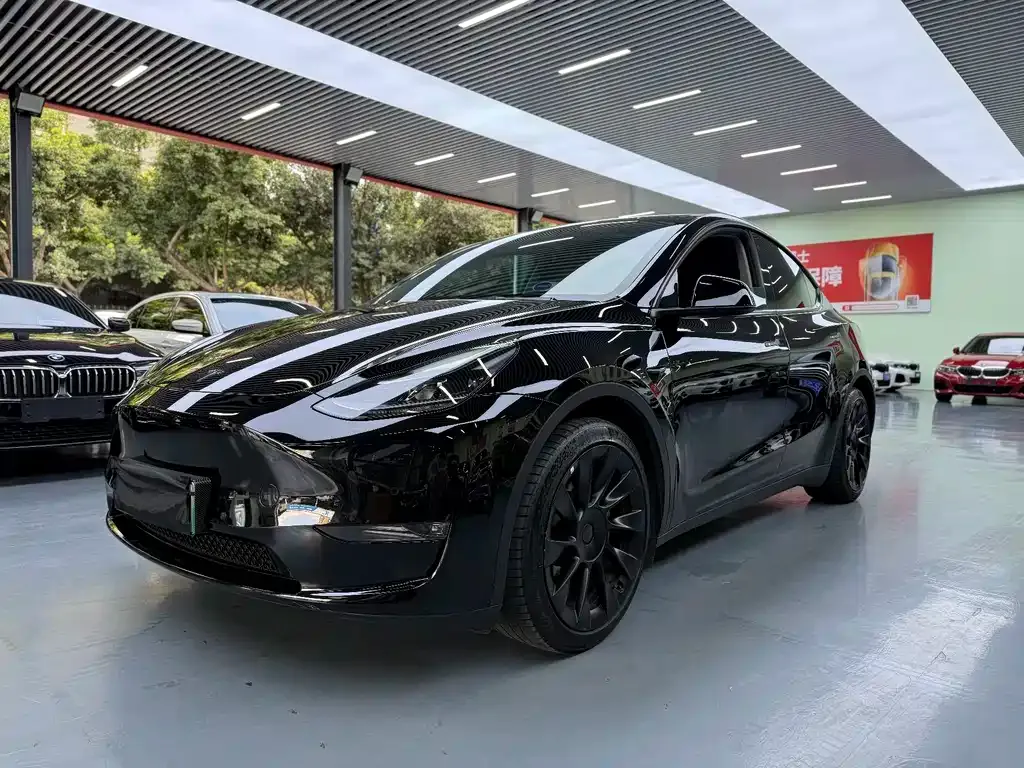 Tesla Model Y — фото 1
