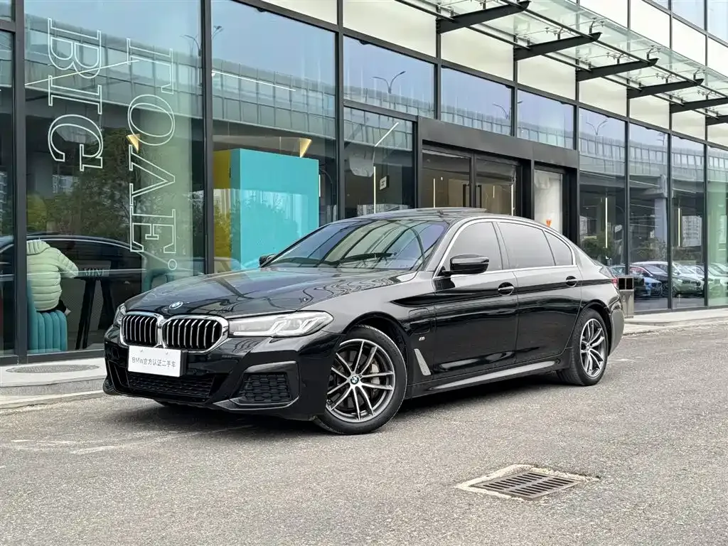 BMW 5 Series New Energy 2021 из CN, фото 1