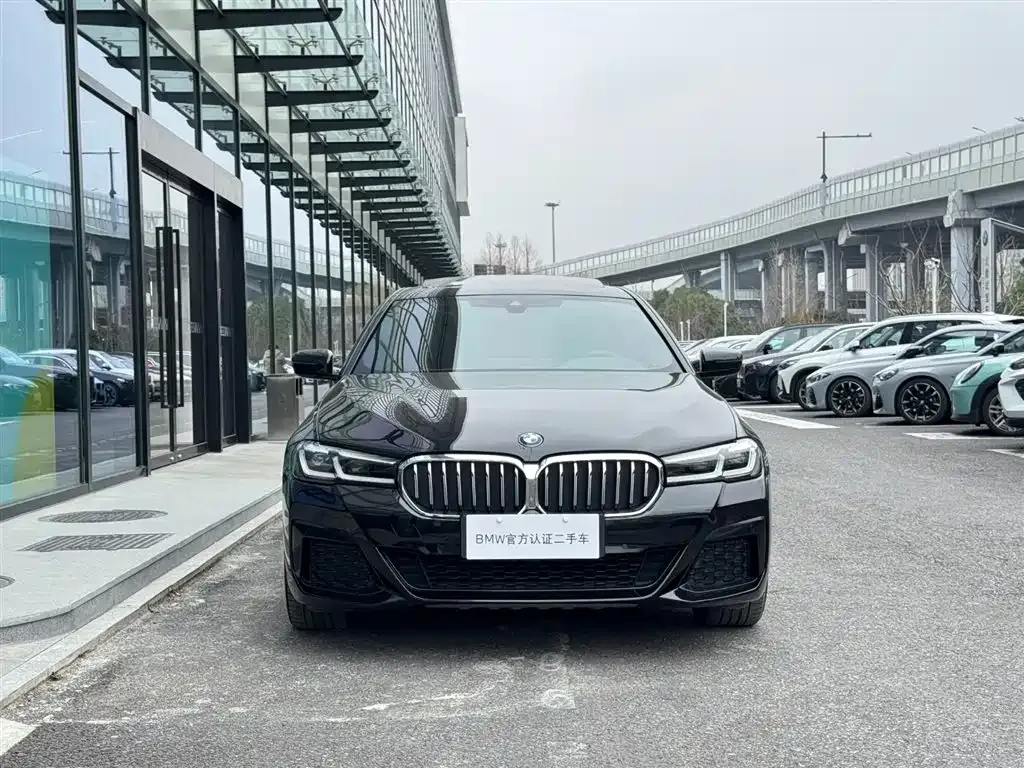 BMW 5 Series New Energy 2021 из CN, фото 4