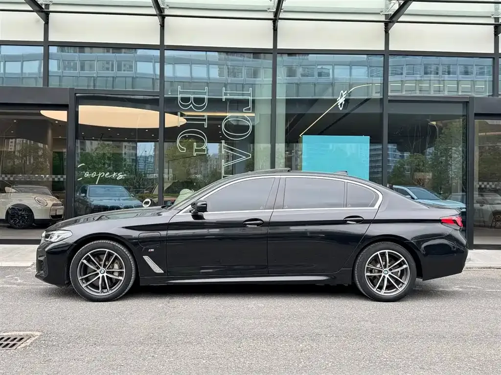 BMW 5 Series New Energy 2021 из CN, фото 5