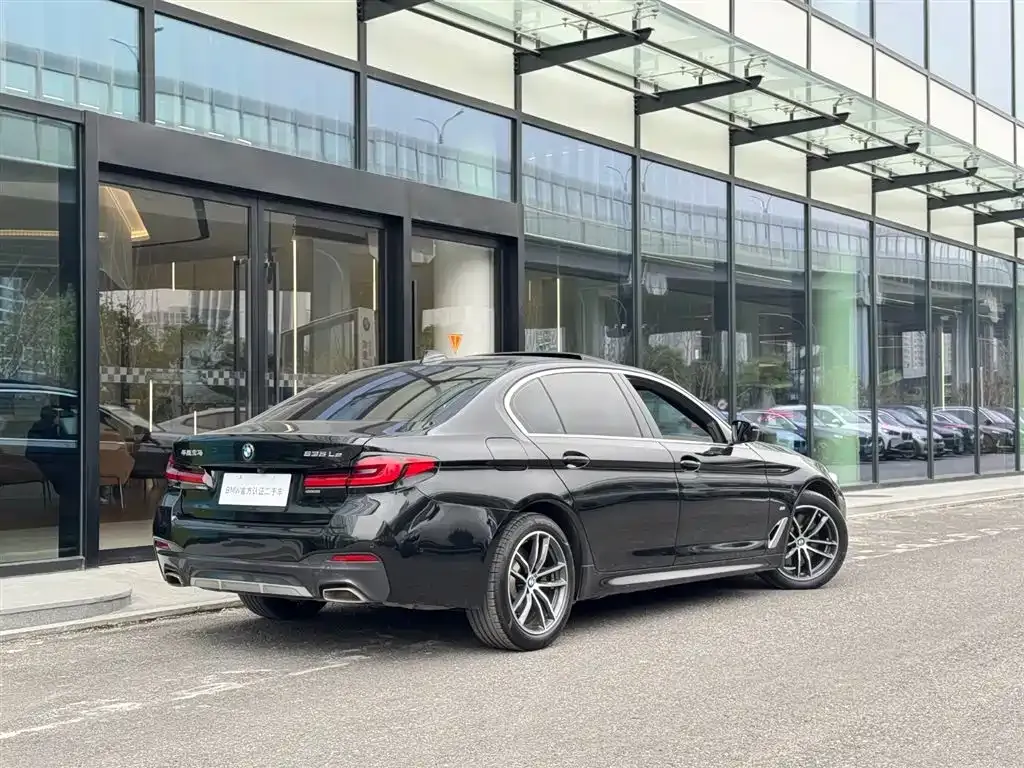 BMW 5 Series New Energy 2021 из CN, фото 8