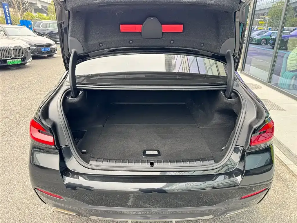 BMW 5 Series New Energy 2021 из CN, фото 7