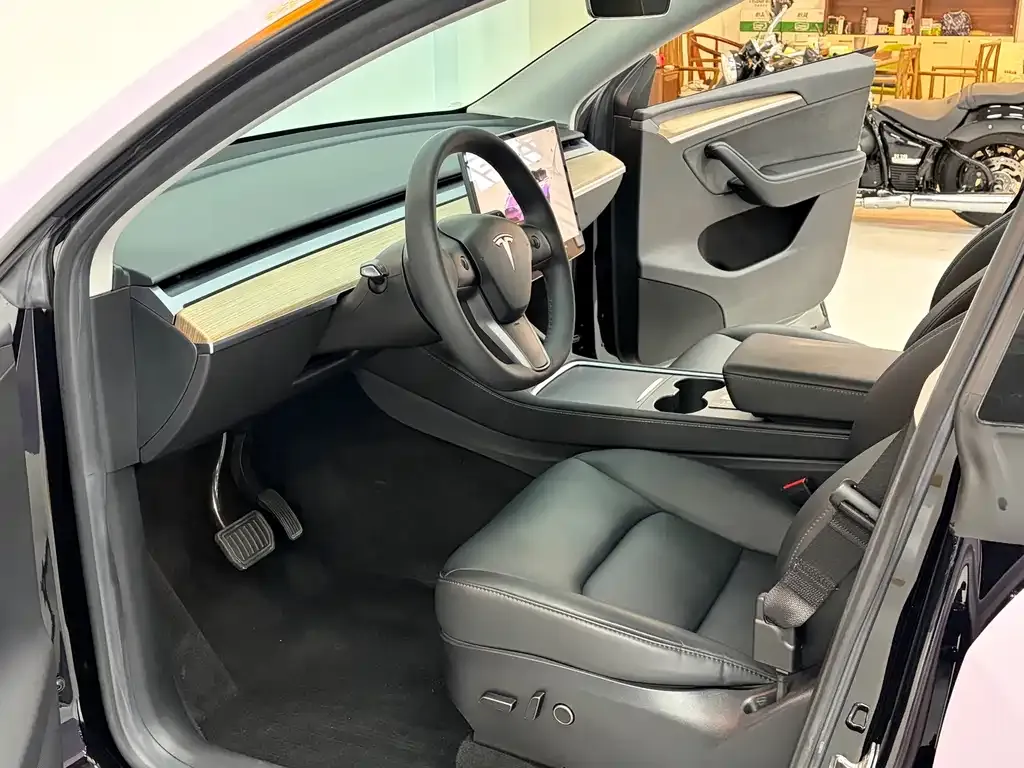 Tesla Model Y — фото 8