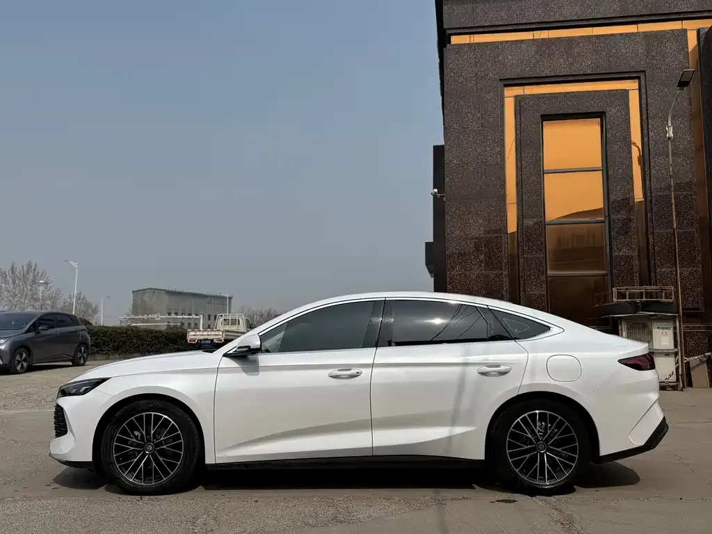 BYD Qin L — фото 2