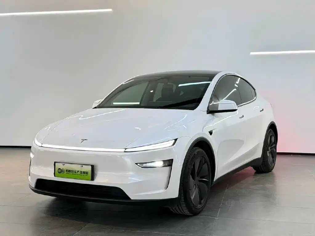 Tesla Model Y — фото 1