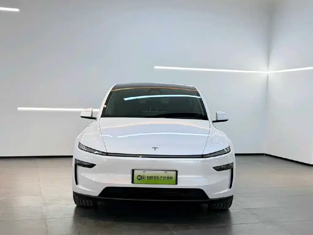 Tesla Model Y — фото 5