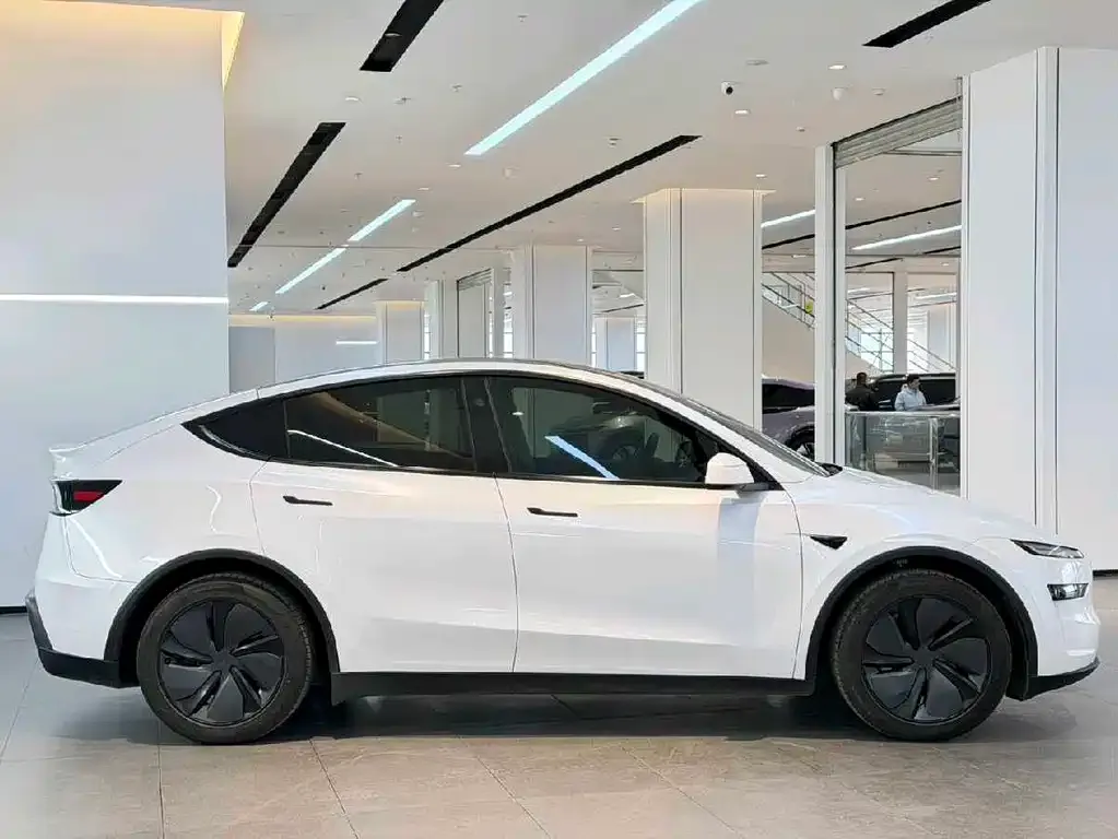 Tesla Model Y — фото 9