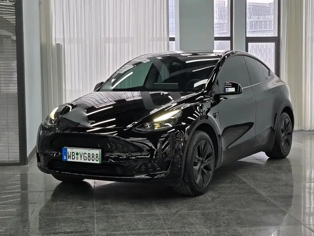 Tesla Model Y — фото 1