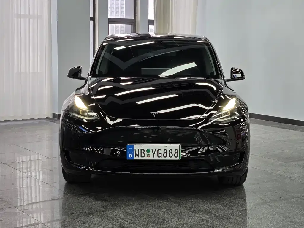 Tesla Model Y — фото 6