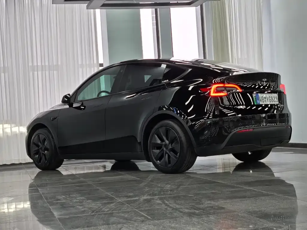 Tesla Model Y — фото 9