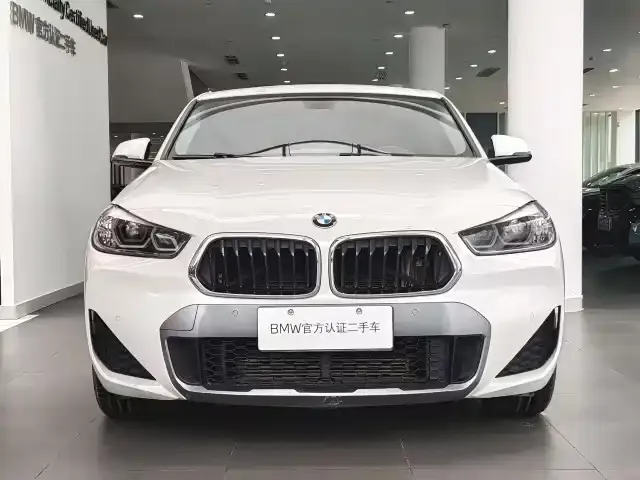 BMW X2 2021 из CN, фото 4