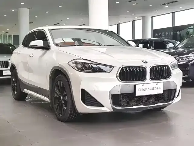 BMW X2 2021 из CN, фото 6