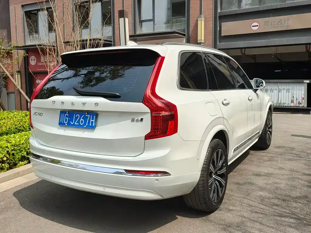 Volvo XC90 — фото 10