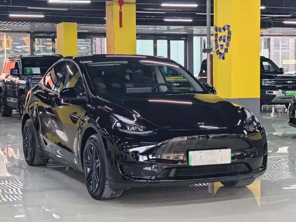 Tesla Model Y — фото 8