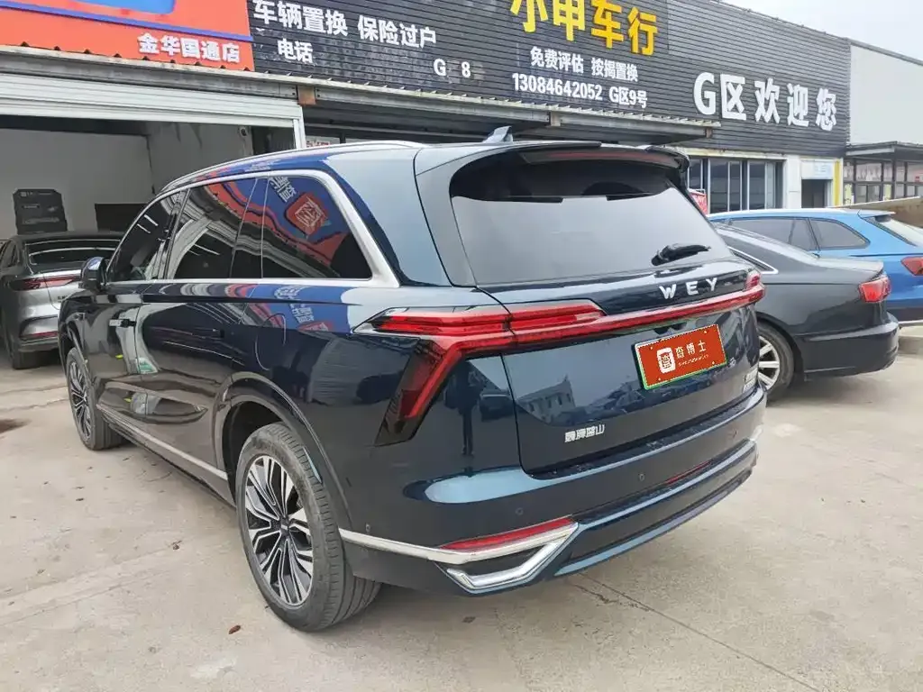 Wey Lanshan 2023 из CN, фото 6