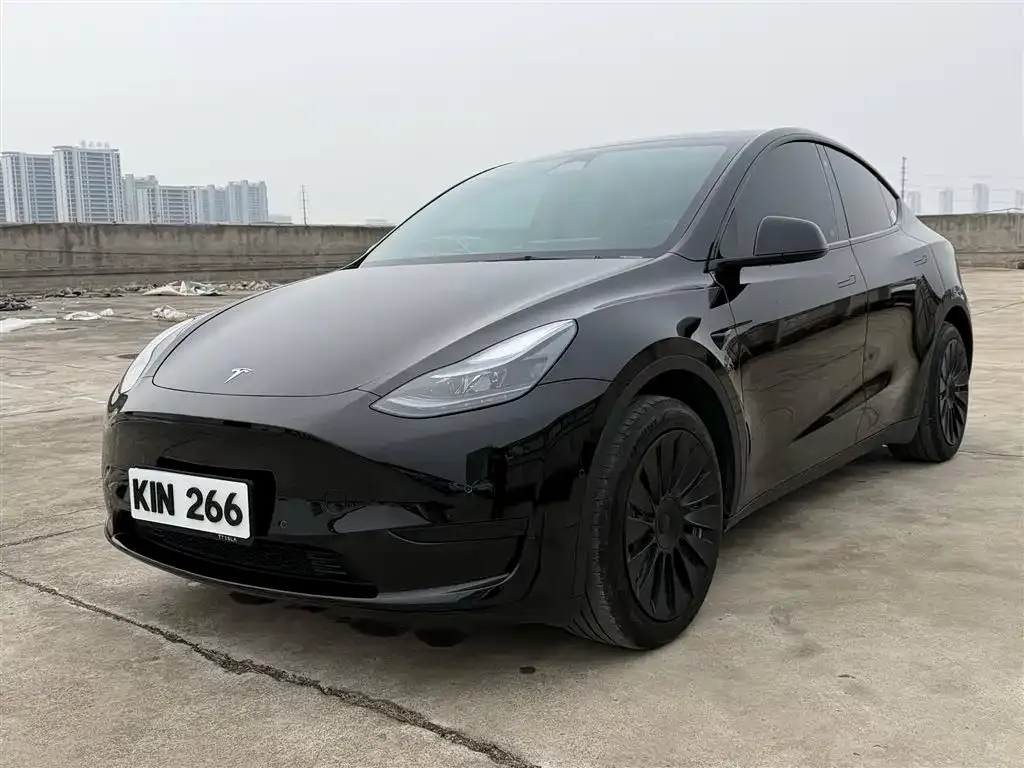 Tesla Model Y 2023 из CN, фото 1