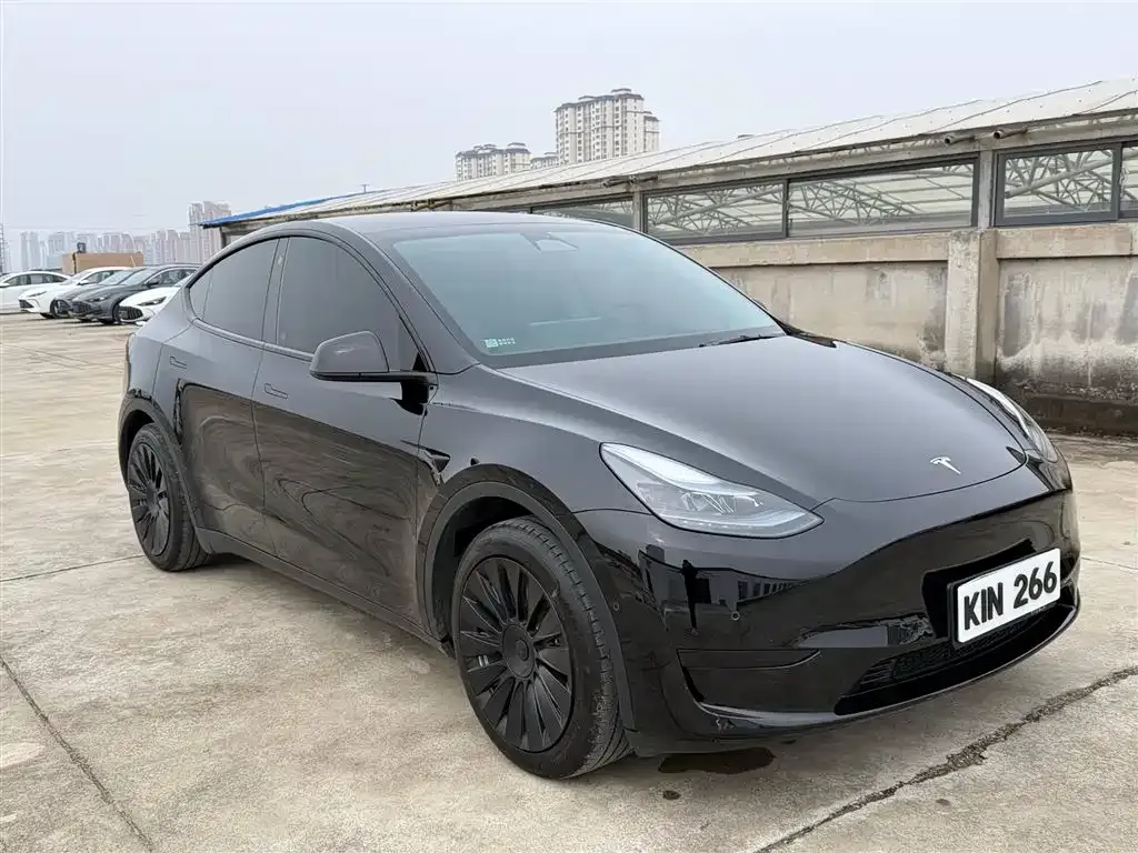 Tesla Model Y 2023 из CN, фото 2
