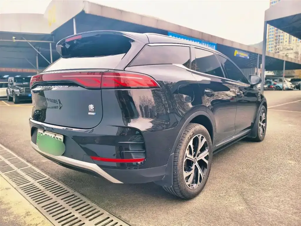 BYD Tang New Energy — фото 10