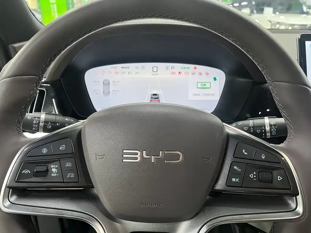 BYD PLUS New Energy 2024 из CN, фото 10