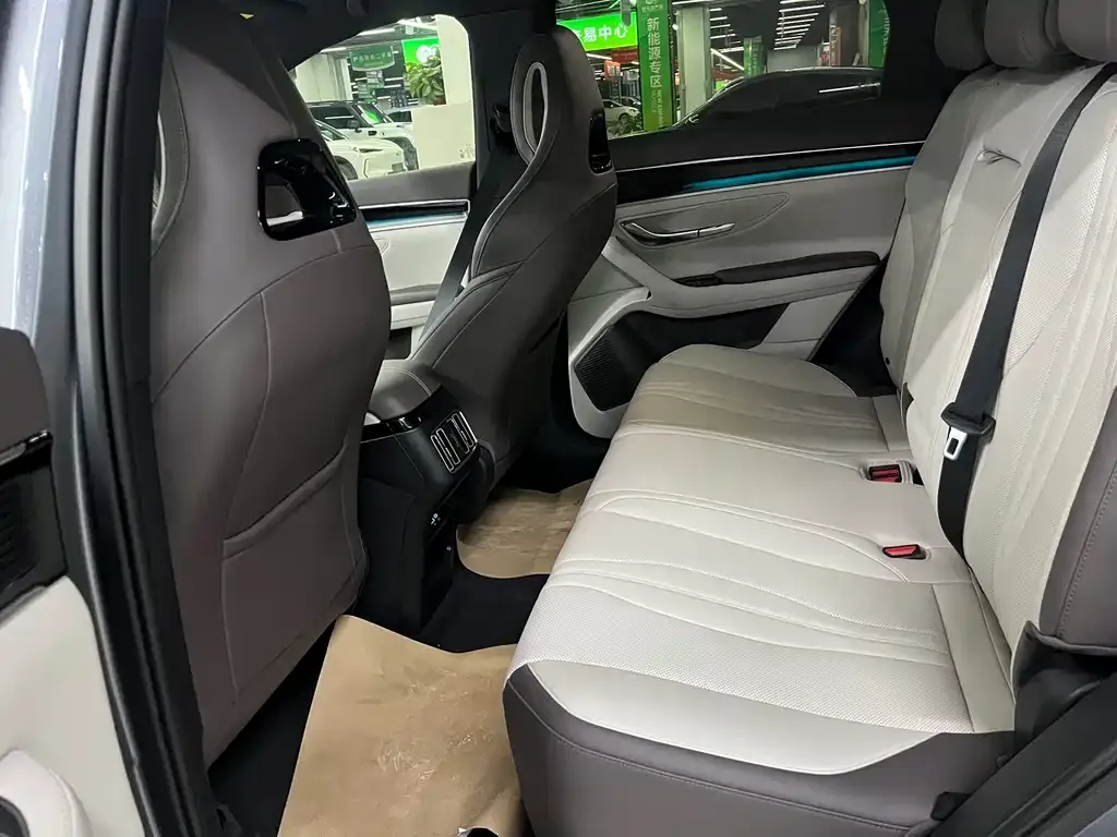 BYD PLUS New Energy 2024 из CN, фото 6