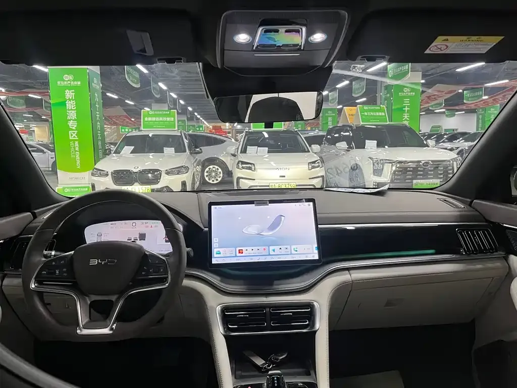 BYD PLUS New Energy 2024 из CN, фото 5