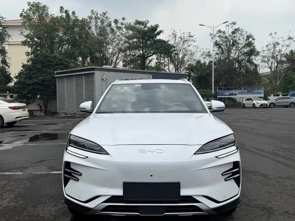 BYD PLUS New Energy — фото 4