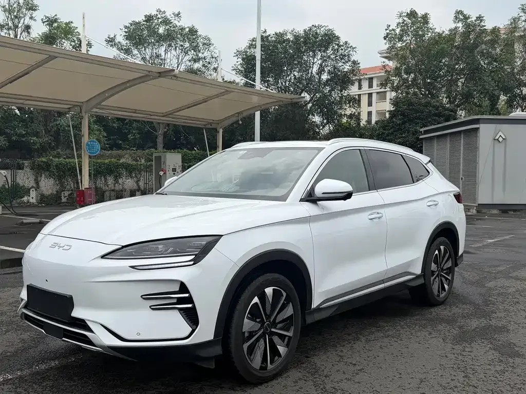 BYD PLUS New Energy — фото 9