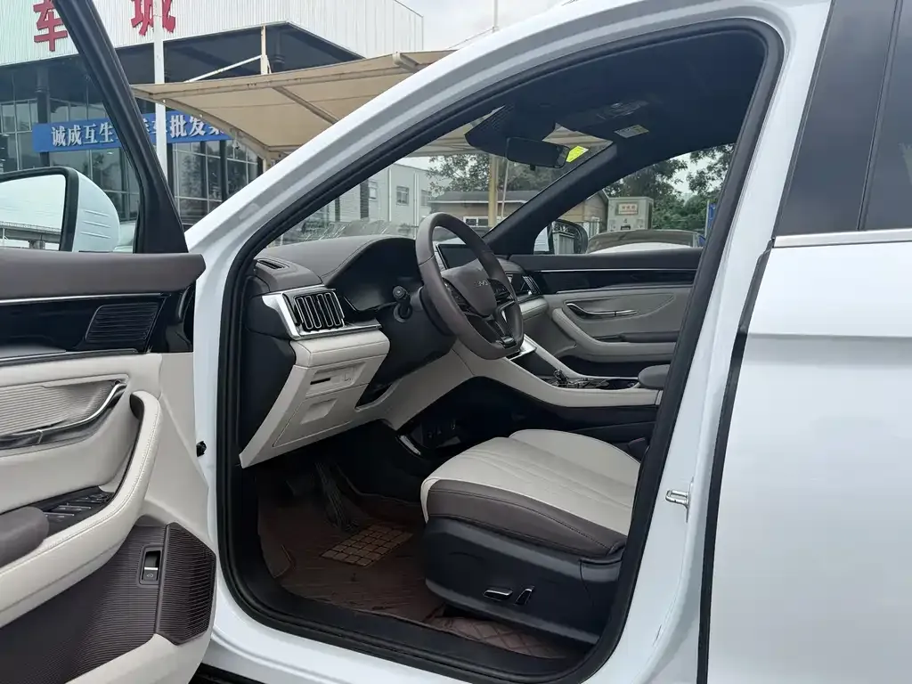 BYD PLUS New Energy — фото 5