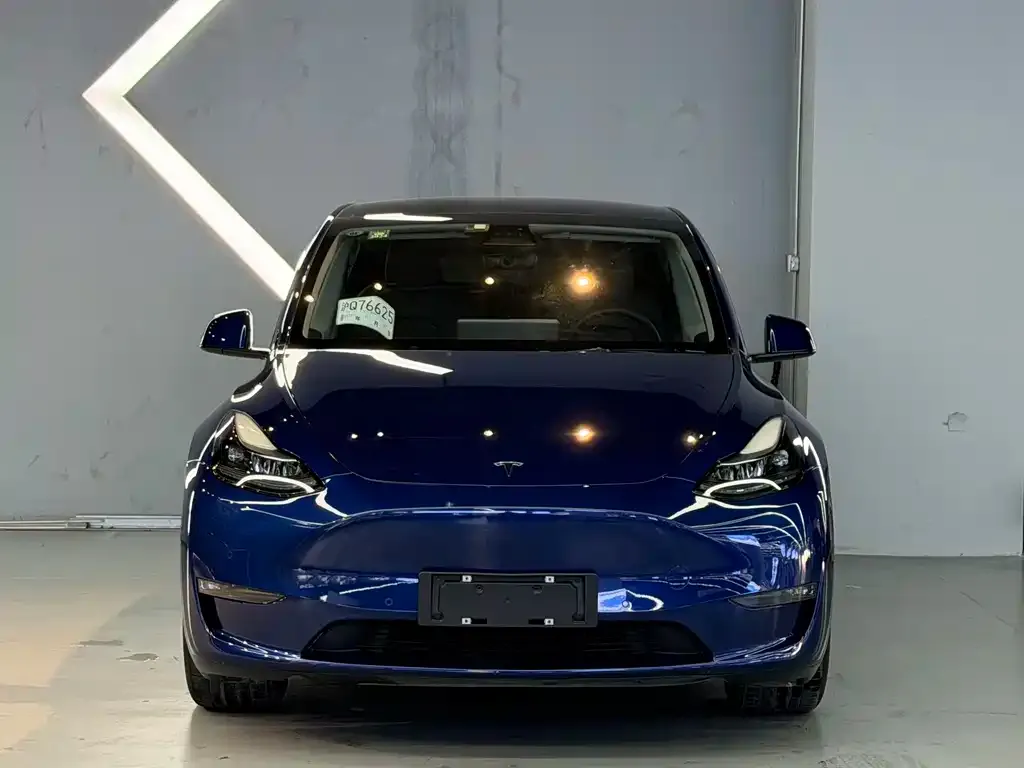 Tesla Model Y — фото 10