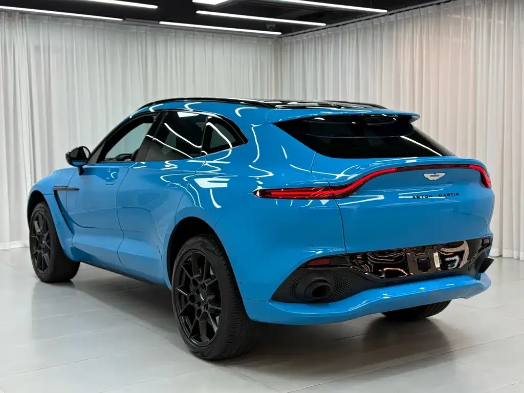 Aston Martin DBX 2023 из CN, фото 4