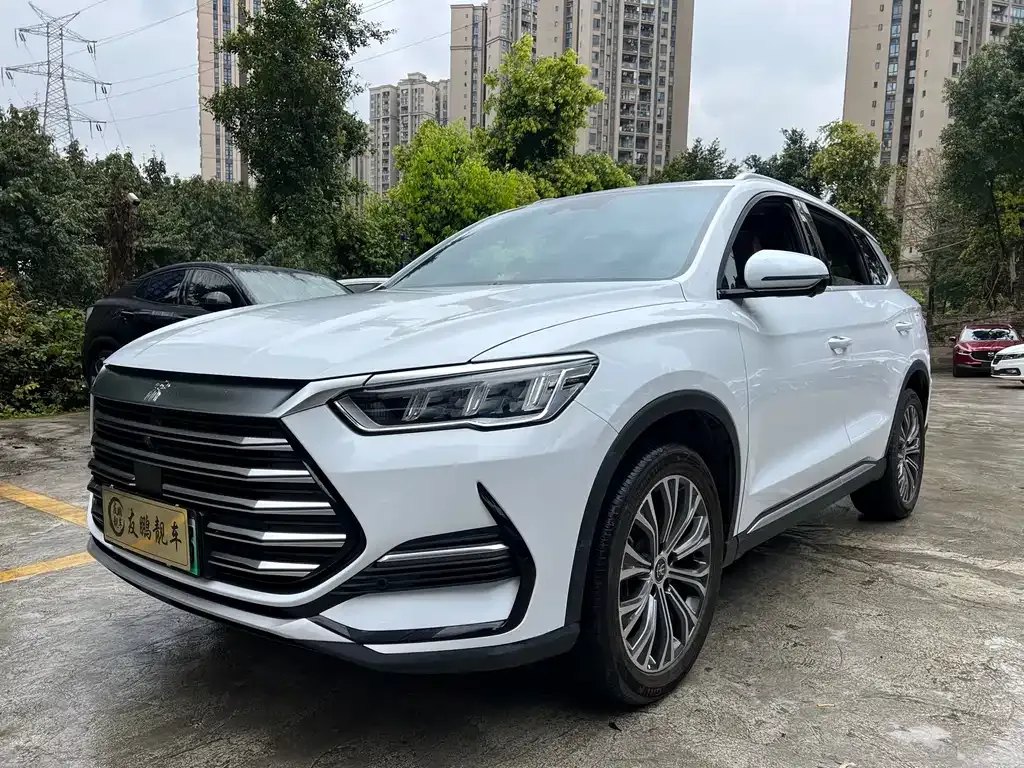 BYD Pro New Energy — фото 1