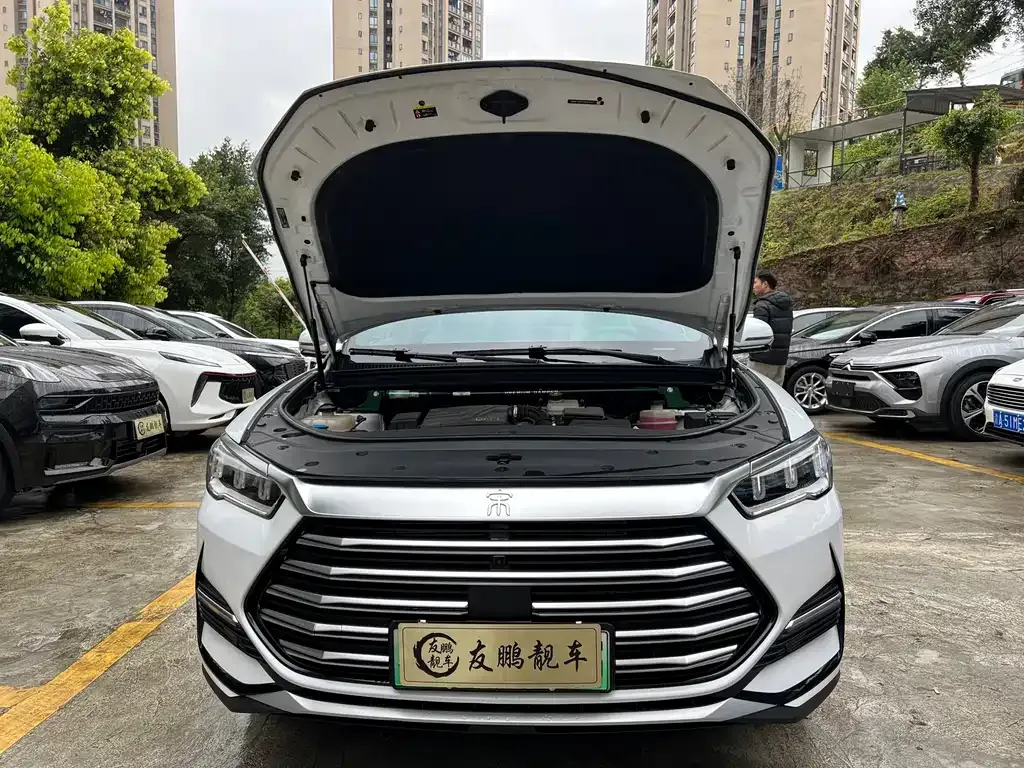 BYD Pro New Energy — фото 9