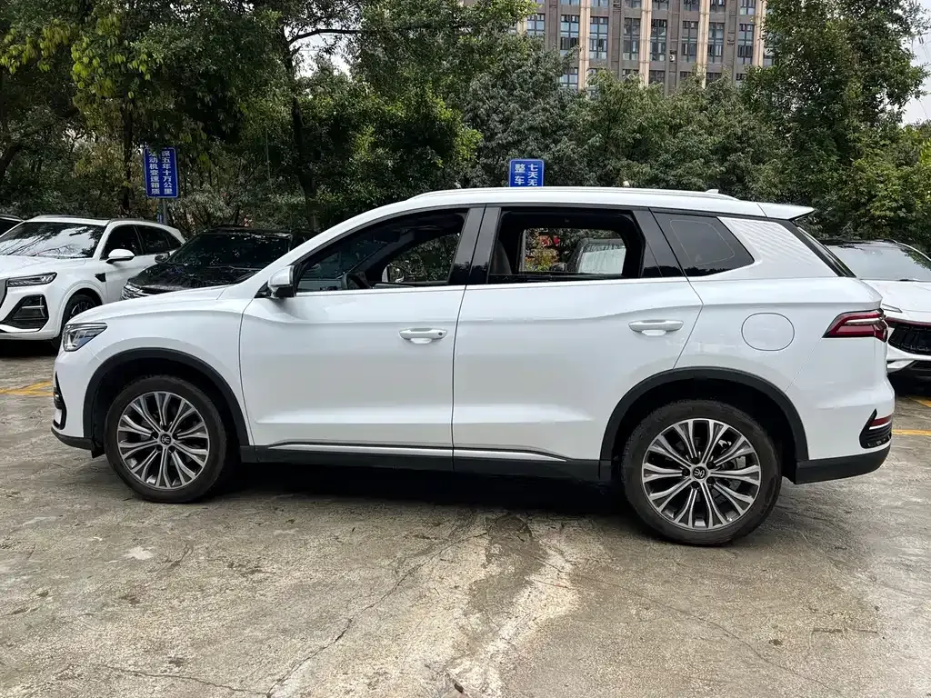 BYD Pro New Energy — фото 10