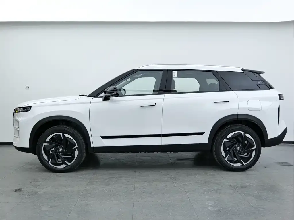 Chery Explorer 06 — фото 4