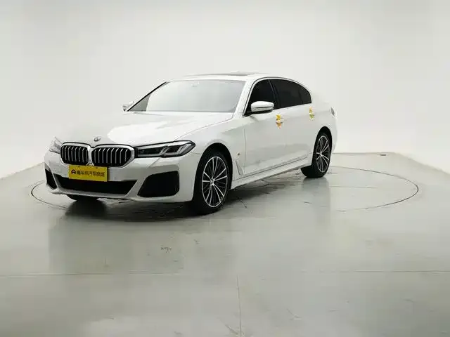 BMW 5 Series 2021 из CN, фото 1