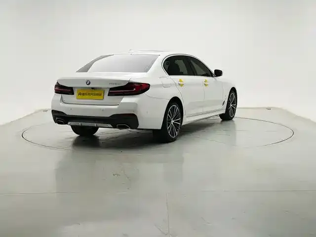 BMW 5 Series 2021 из CN, фото 10