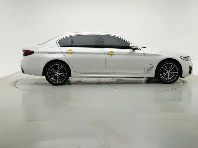 BMW 5 Series 2021 из CN, фото 3