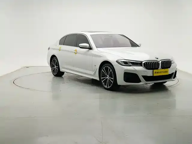 BMW 5 Series 2021 из CN, фото 7