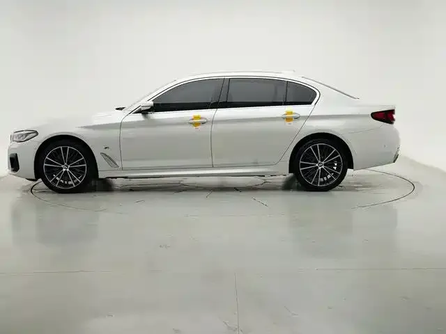 BMW 5 Series 2021 из CN, фото 8