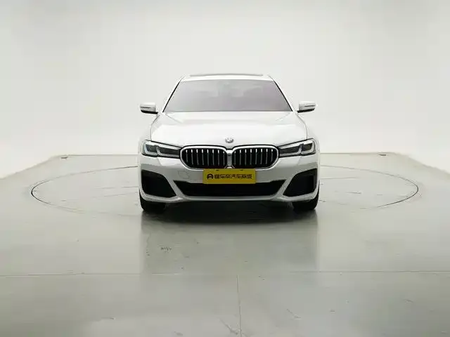 BMW 5 Series 2021 из CN, фото 2