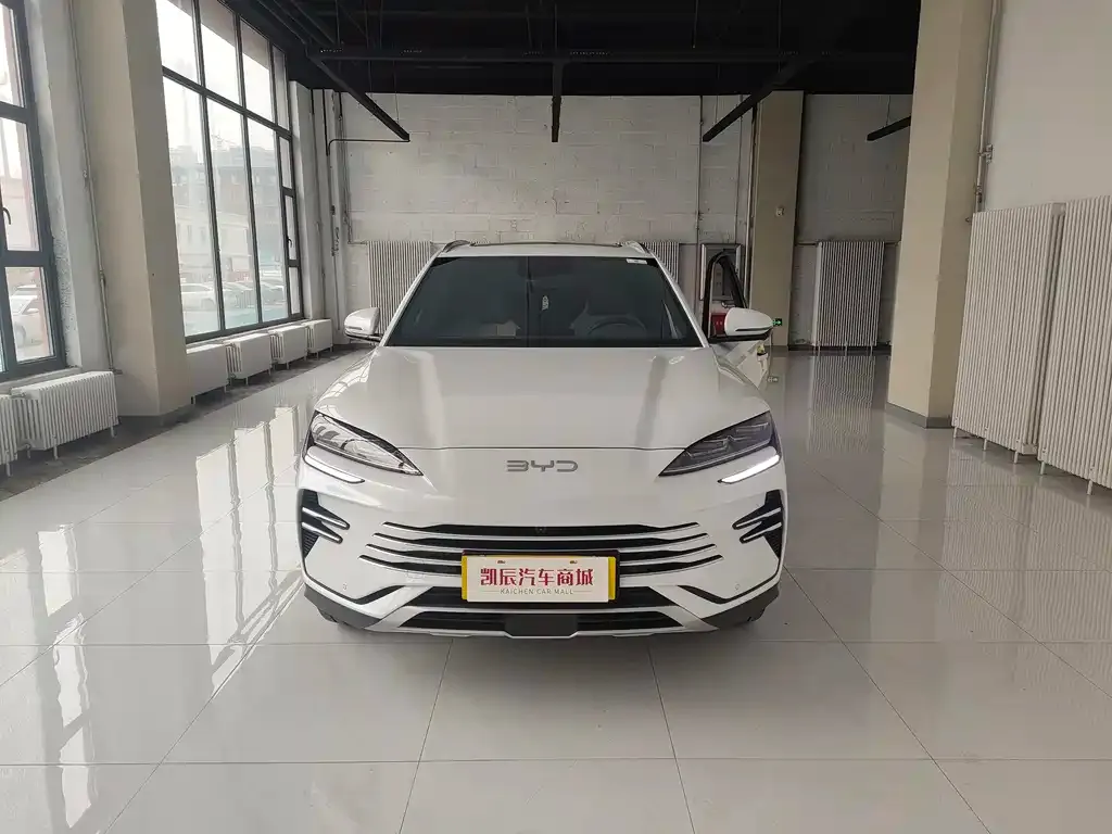 BYD PLUS New Energy 2024 из CN, фото 1